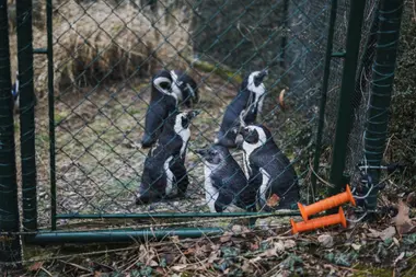 Zoo Ústí nad Labem - Nevinné oběti